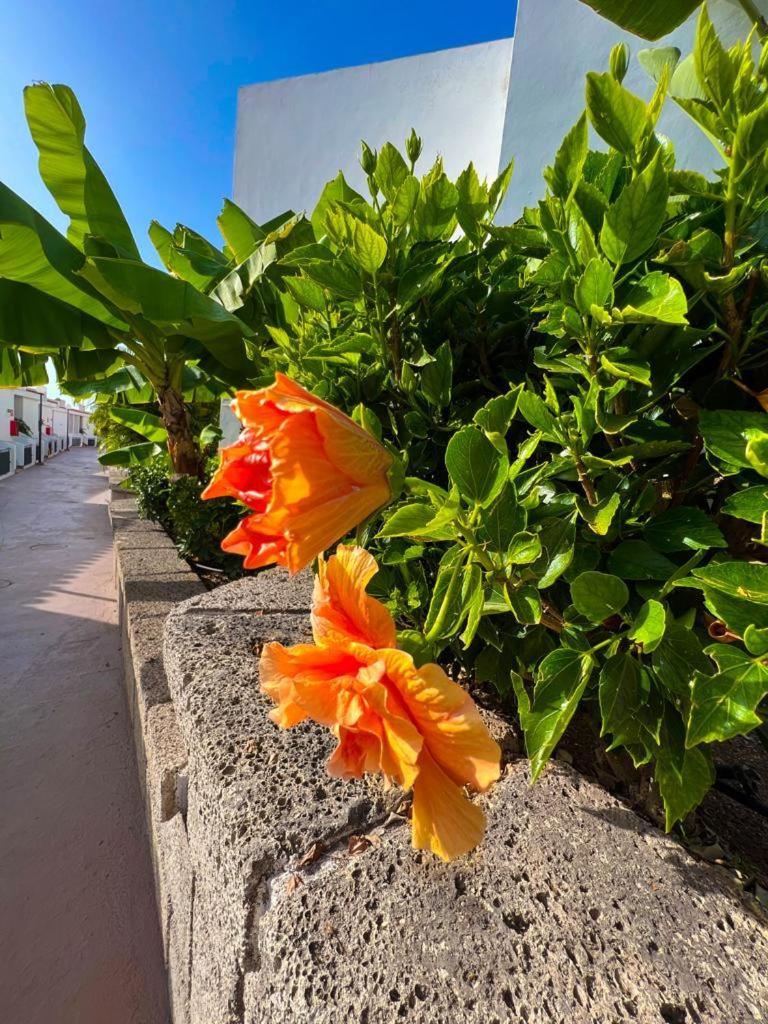 Apartament Malibu Blue Costa Adeje  Bagian luar foto