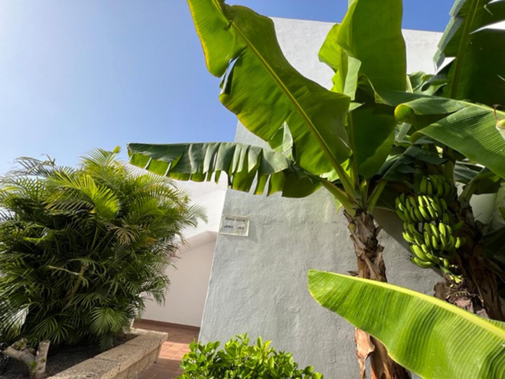 Apartament Malibu Blue Costa Adeje  Bagian luar foto